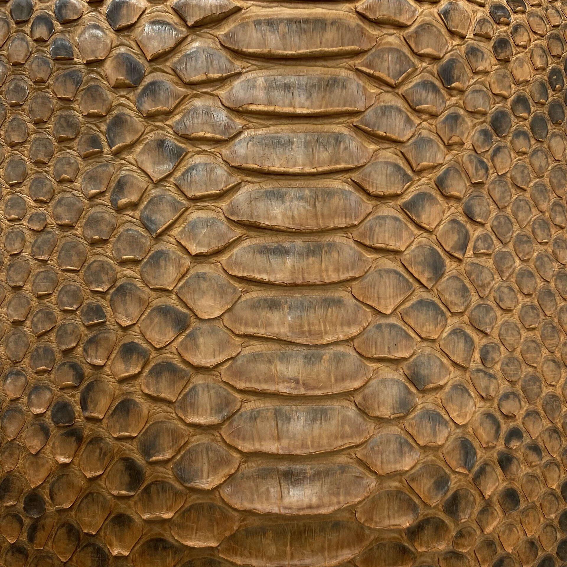 Bolsa Celine Trapeze Píton