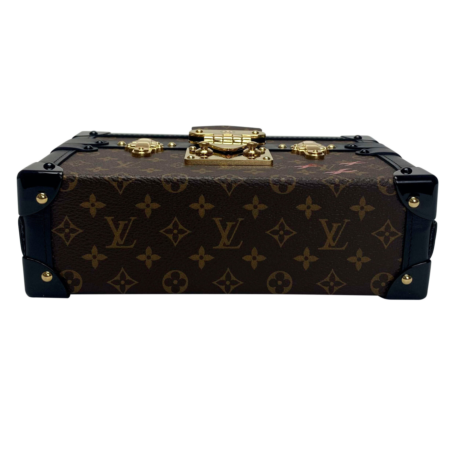 Bolsa Louis Vuitton Petite Malle Capitale