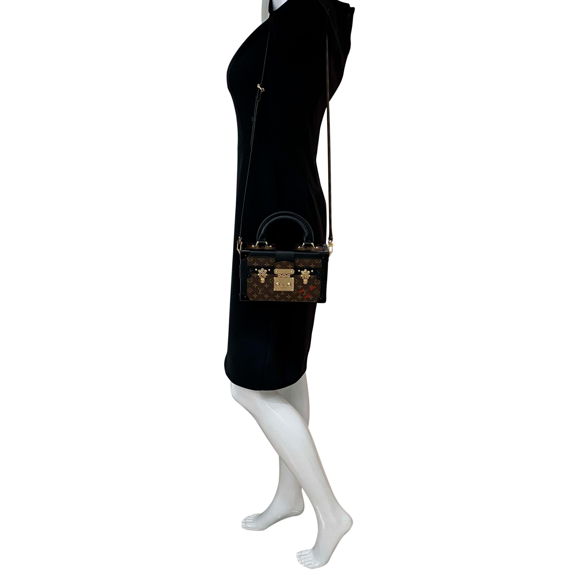 Bolsa Louis Vuitton Petite Malle Capitale