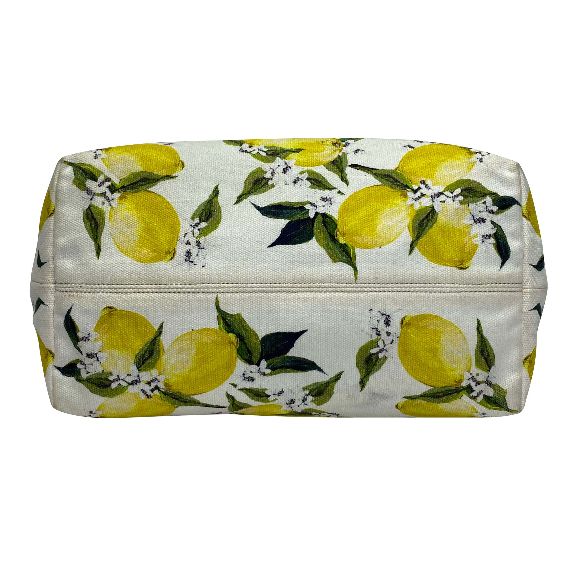 Bolsa Dolce & Gabbana Estampa Limões