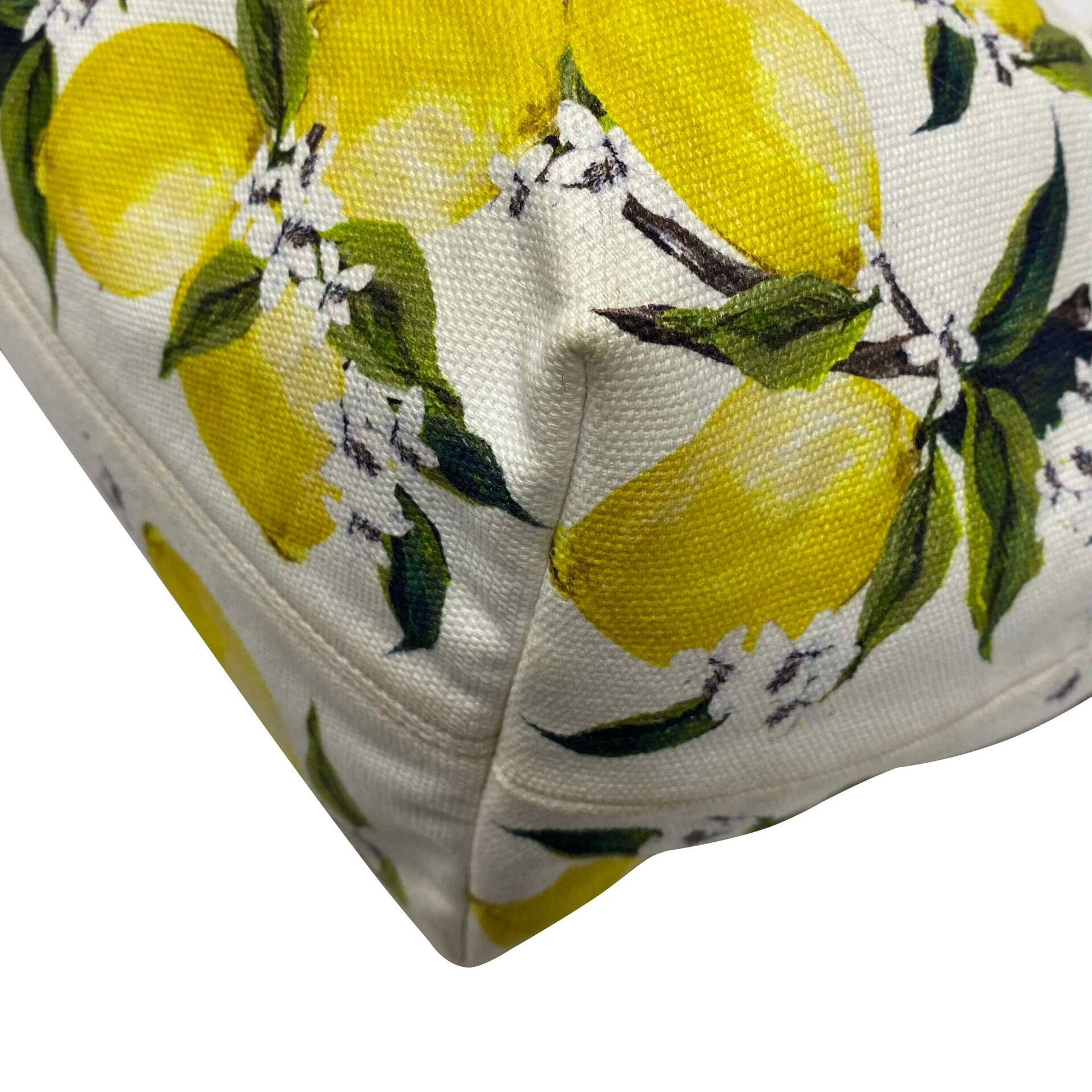 Bolsa Dolce & Gabbana Estampa Limões