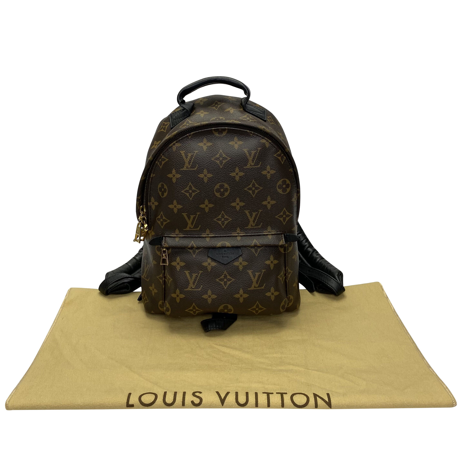 Mochila Louis Vuitton Palm Springs PM Monograma
