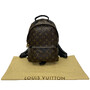 Mochila Louis Vuitton Palm Springs PM Monograma