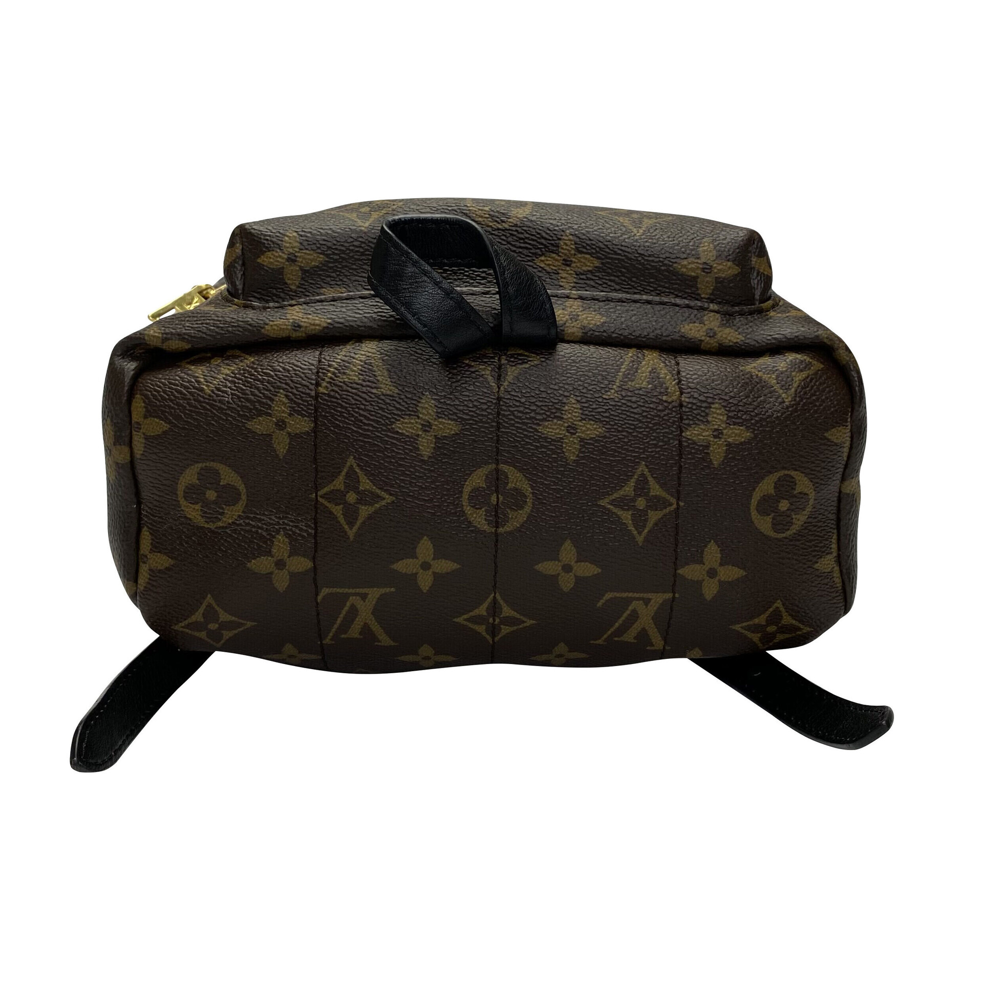 Mochila Louis Vuitton Palm Springs PM Monograma