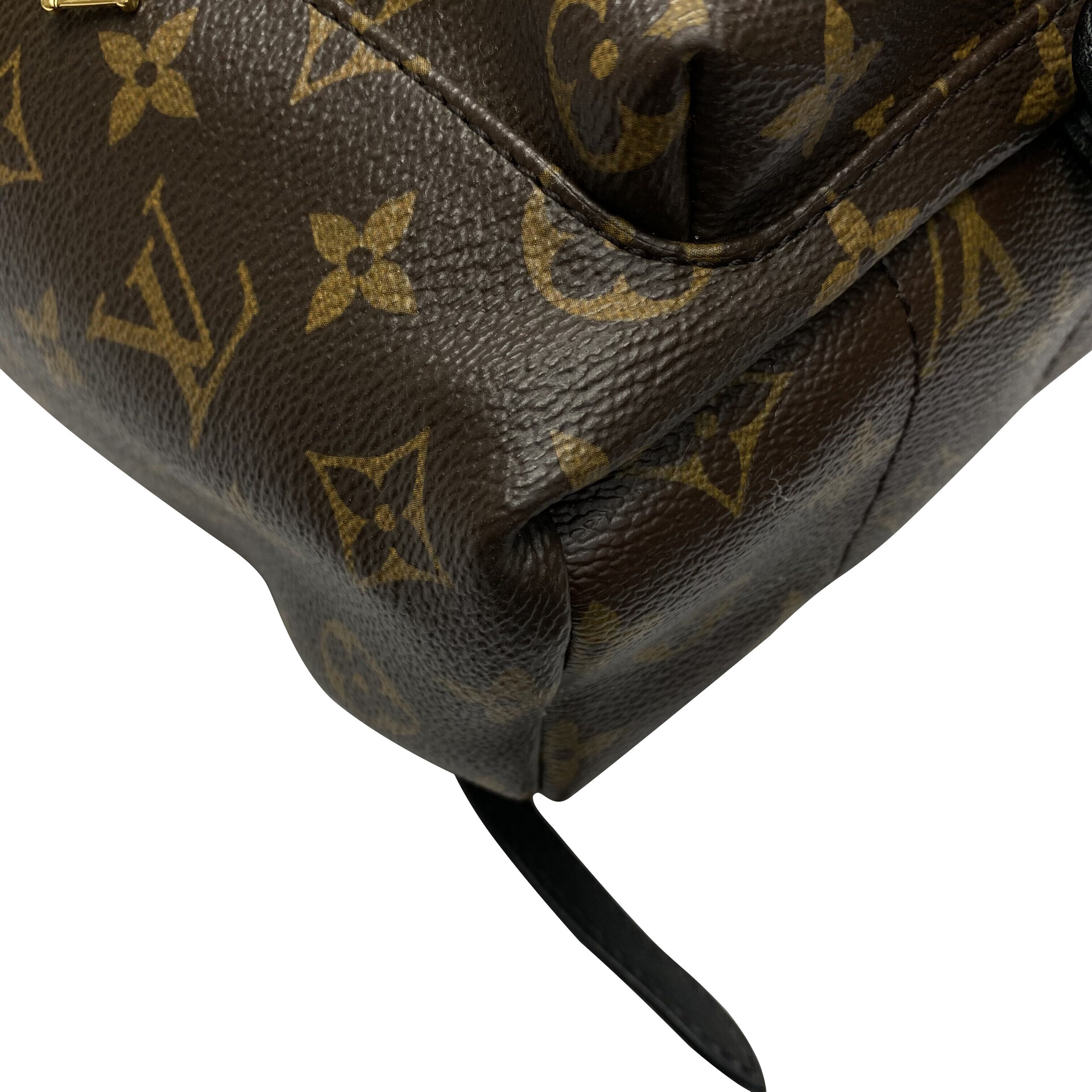 Mochila Louis Vuitton Palm Springs PM Monograma