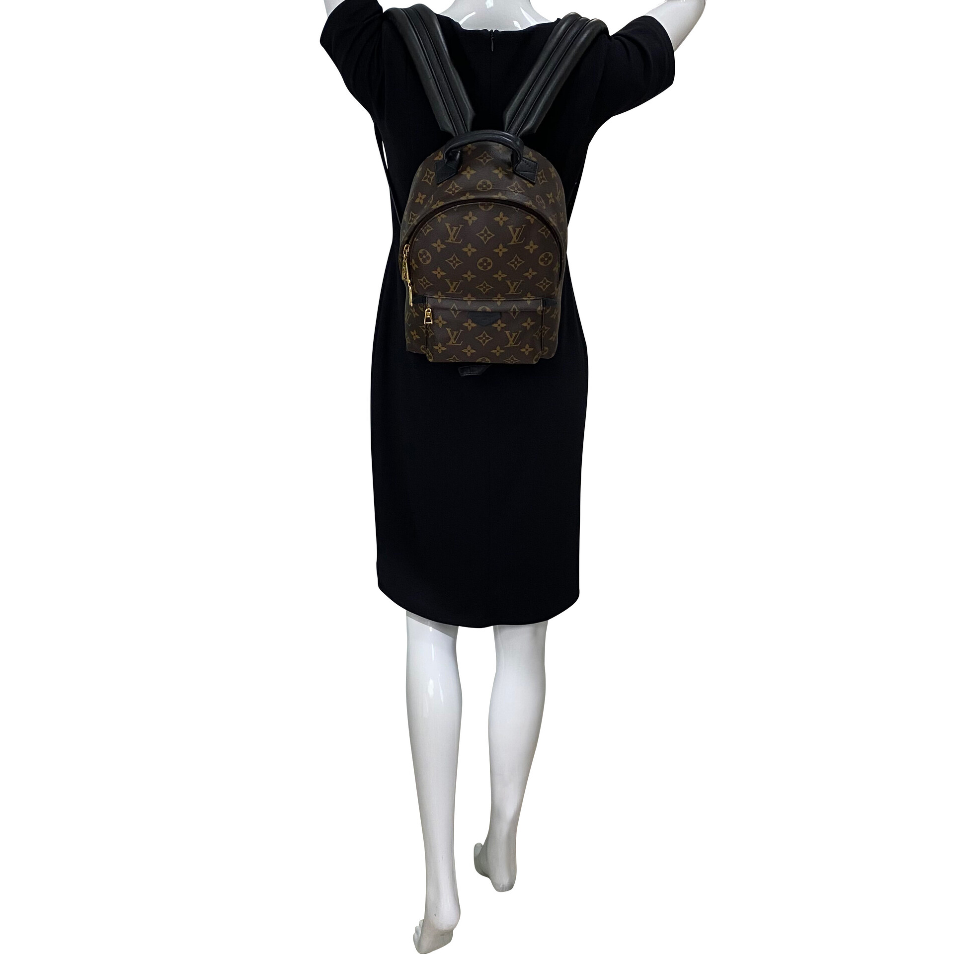 Mochila Louis Vuitton Palm Springs PM Monograma