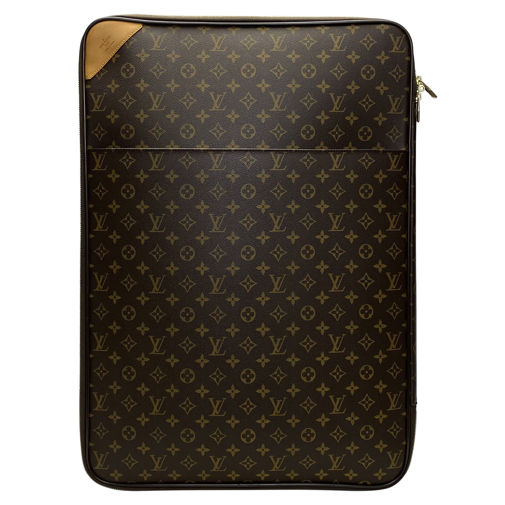 Mala Louis Vuitton Pegase 55