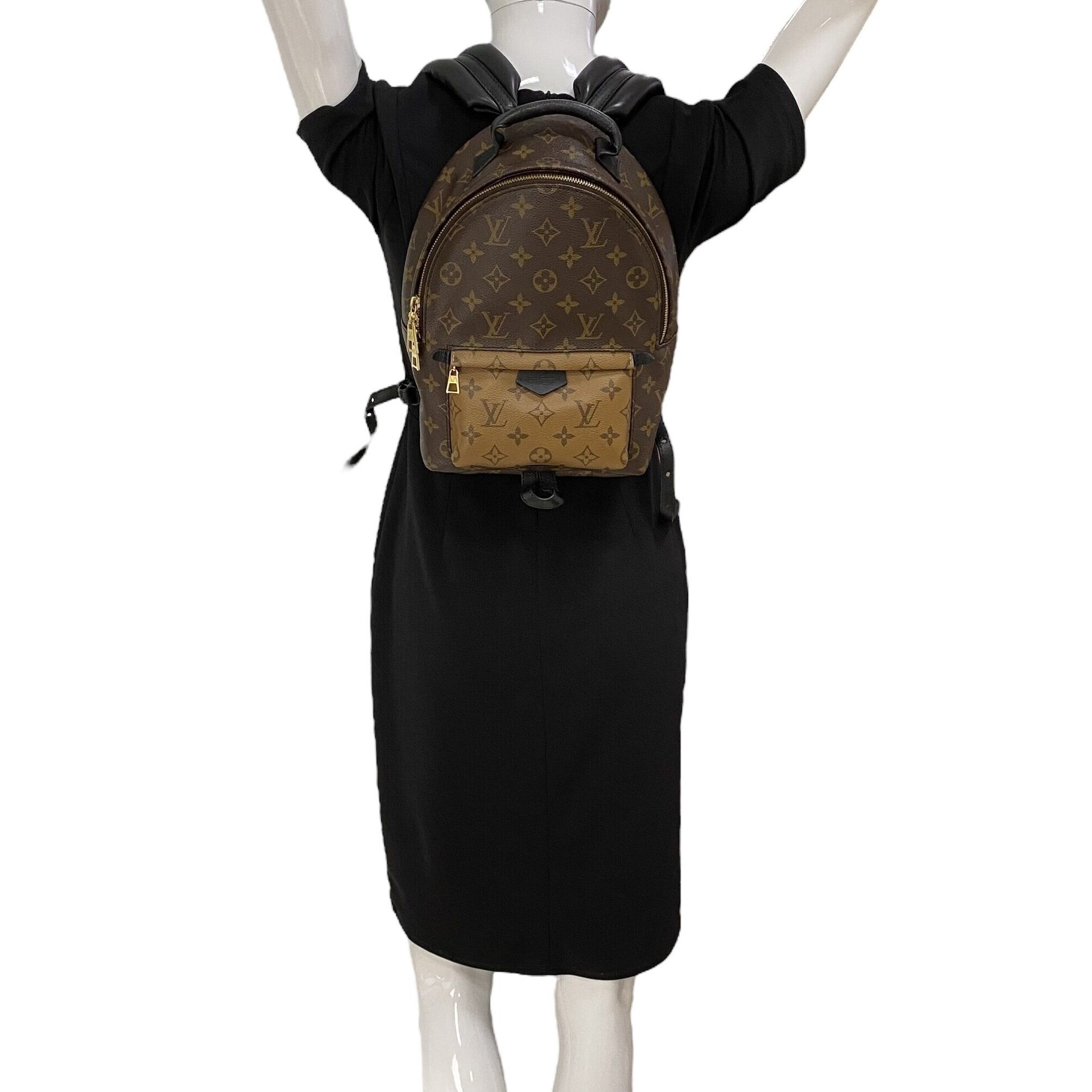 Mochila Louis Vuitton Palm Springs PM Monograma