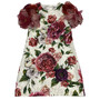 Vestido Dolce & Gabbana Infantil Floral