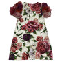 Vestido Dolce & Gabbana Infantil Floral