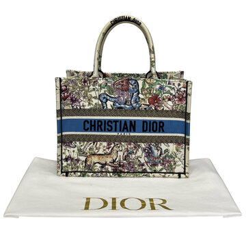 Bolsa Christian Dior Book Tote D Constellation
