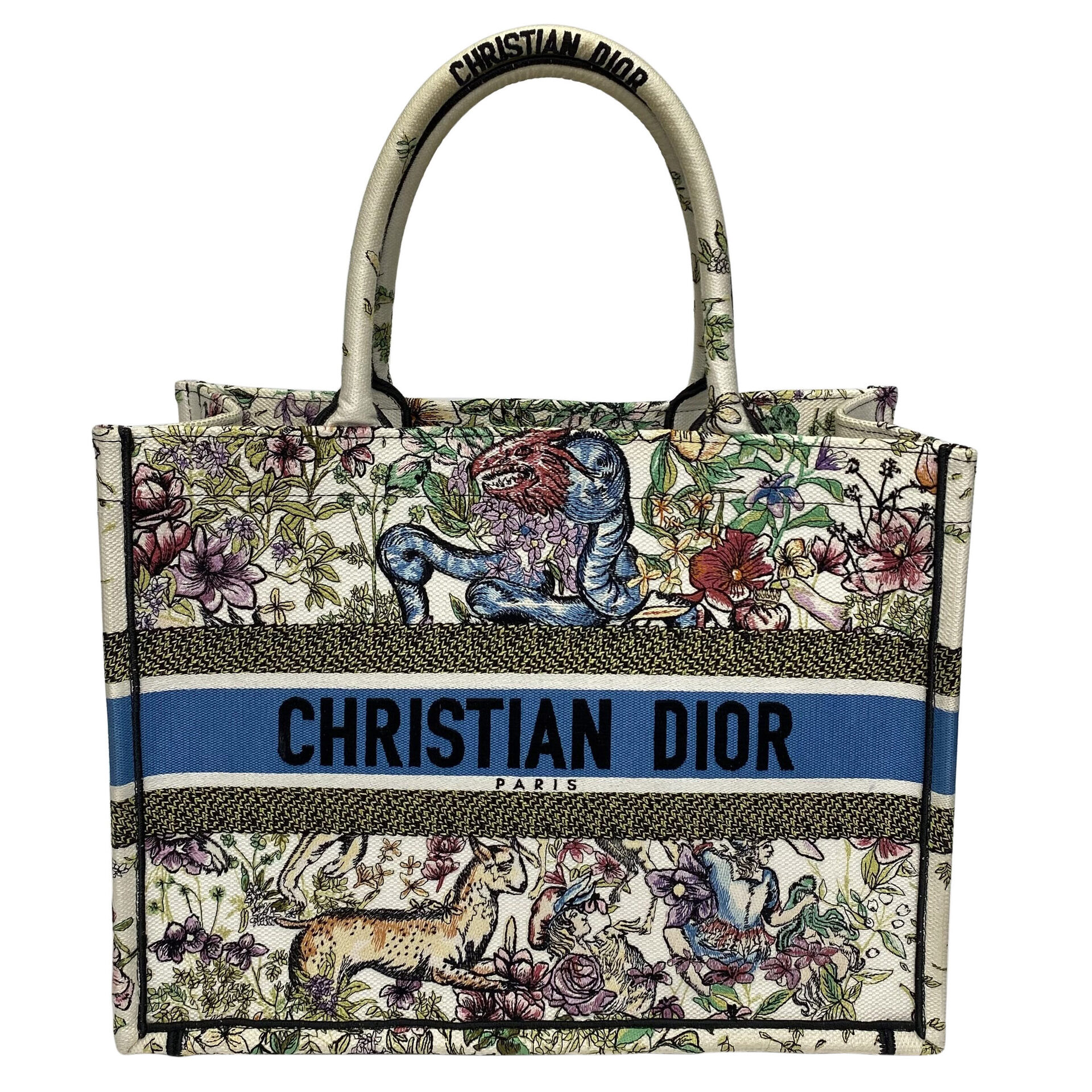 Bolsa Christian Dior Book Tote D Constellation