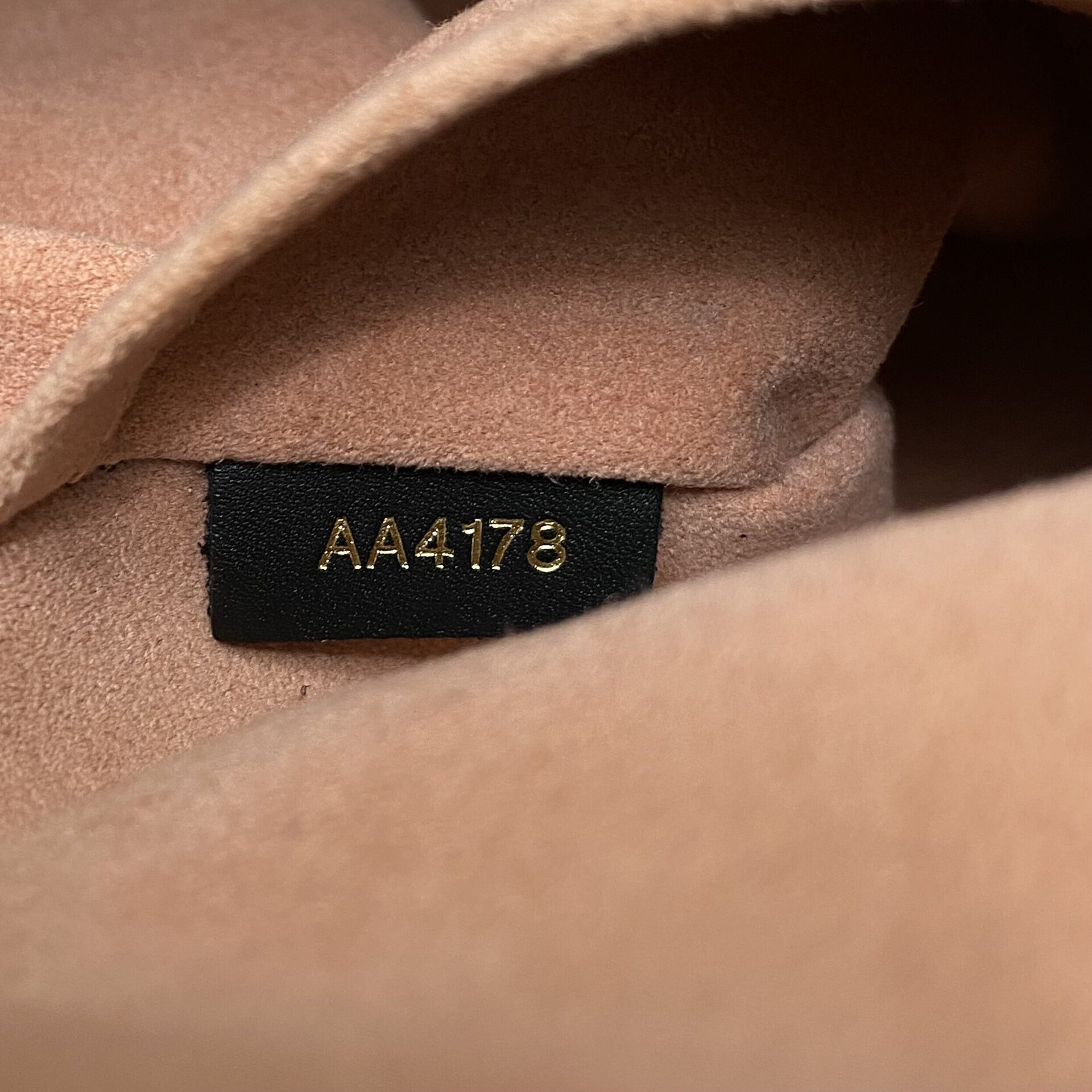 Bolsa Louis Vuitton Tuileres Monograma