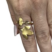 Anel HStern - Coleção Hera