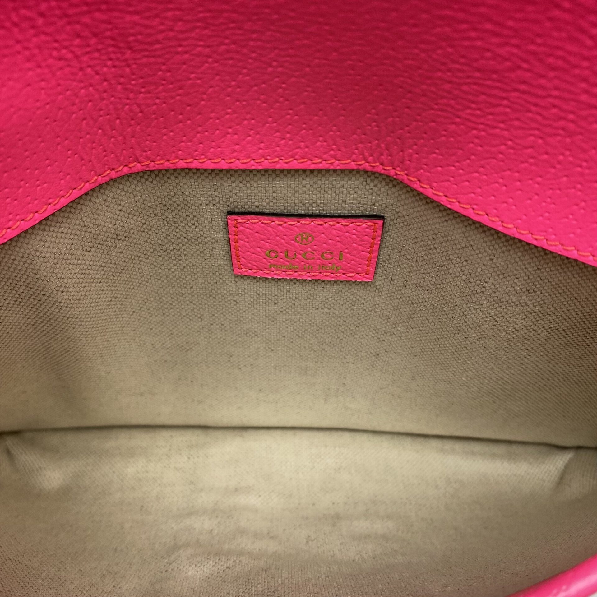 Pochete Gucci Belt Ophidia GG