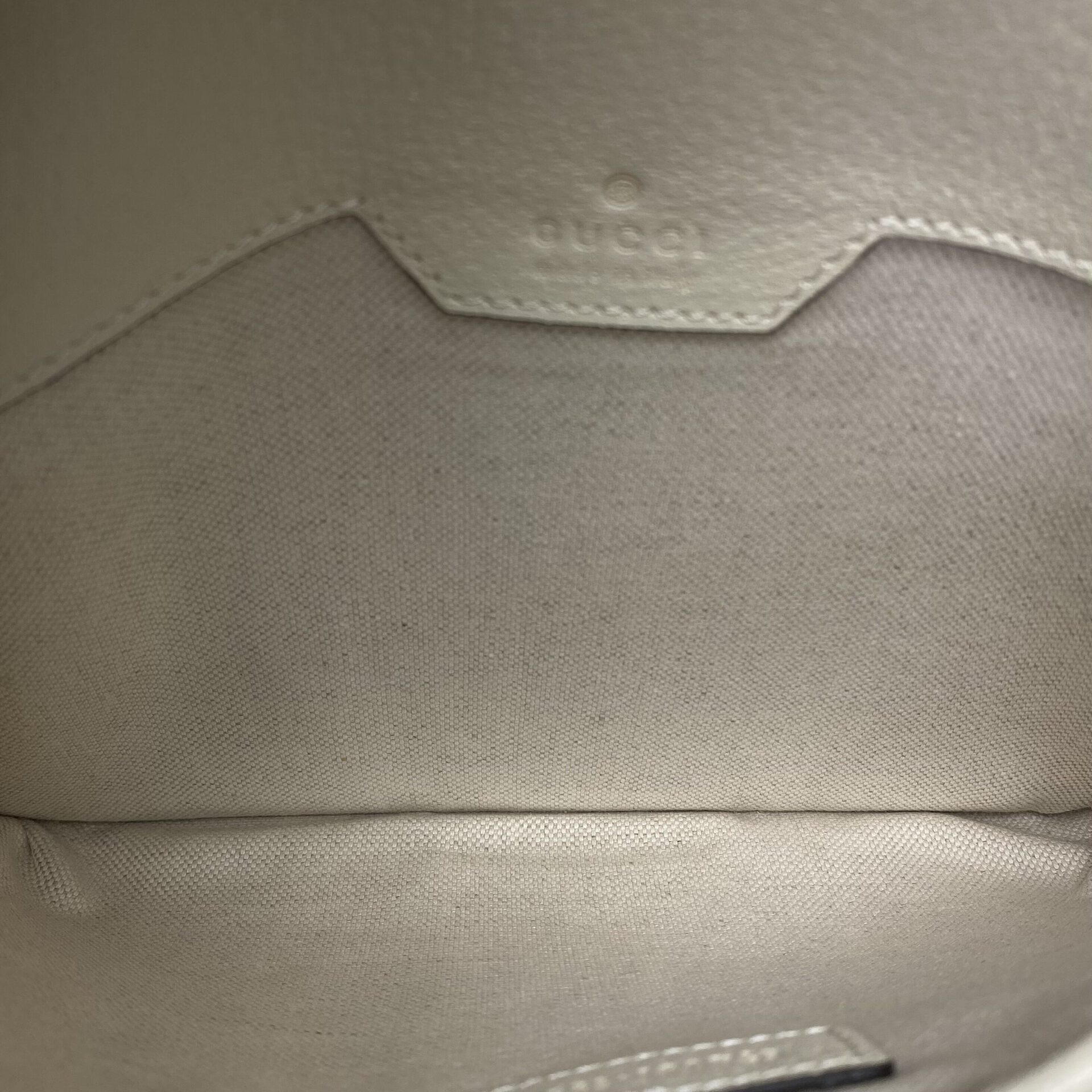 Pochete Gucci Belt Ophidia GG