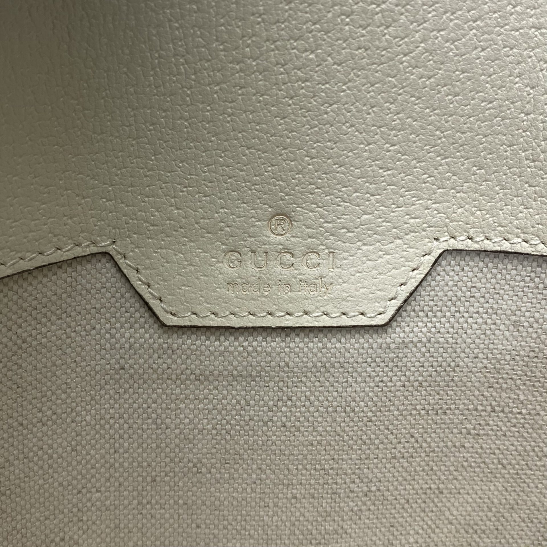 Pochete Gucci Belt Ophidia GG