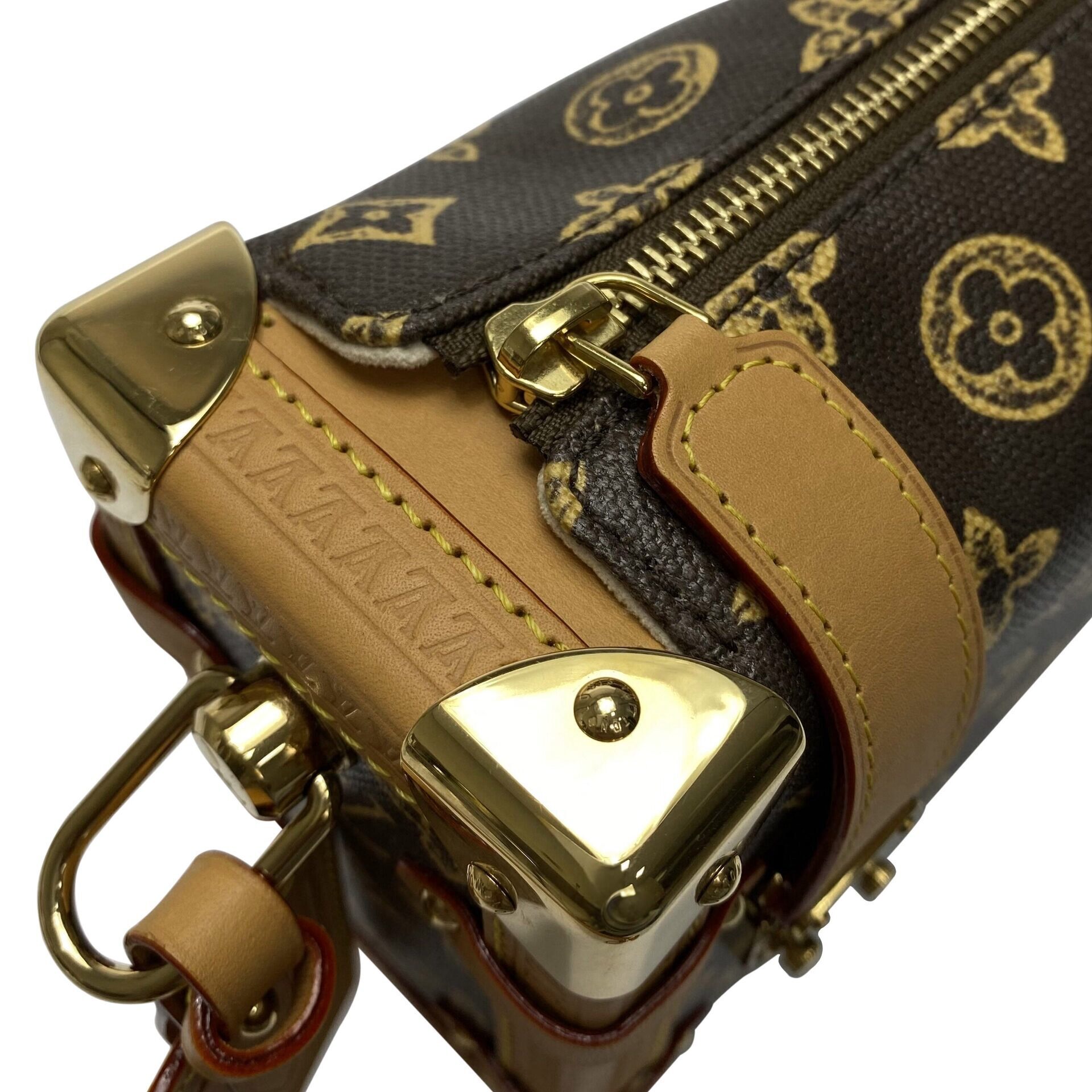 Bolsa Louis Vuitton Side Trunk Monograma