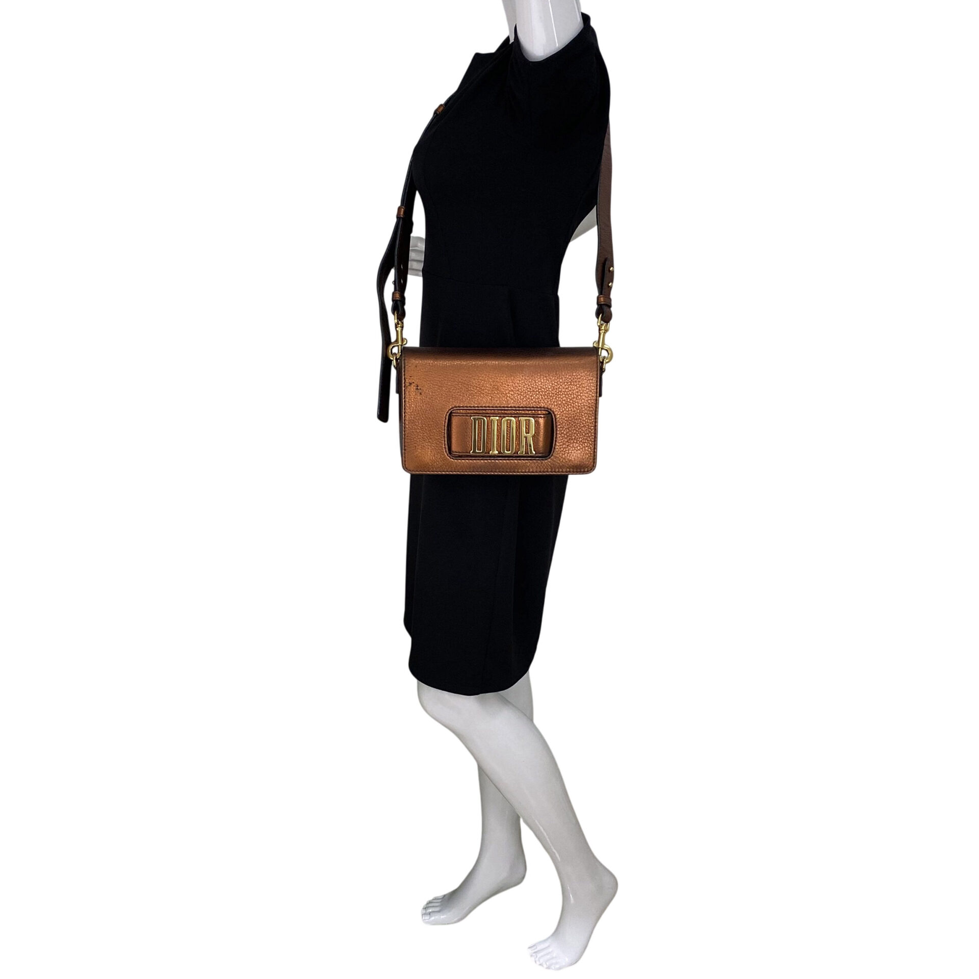 Bolsa Christian Dior (R)evolution Metalizada