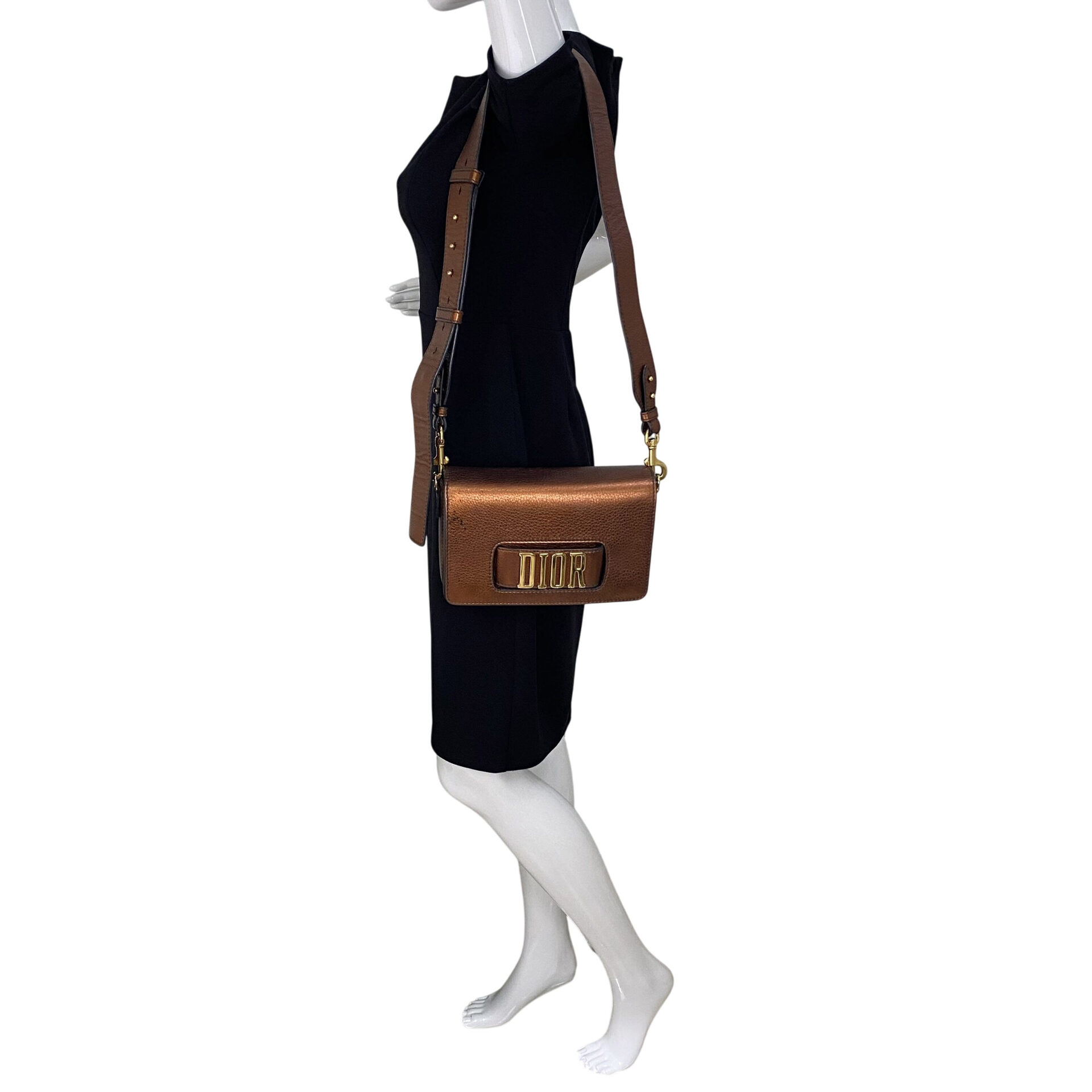 Bolsa Christian Dior (R)evolution Metalizada