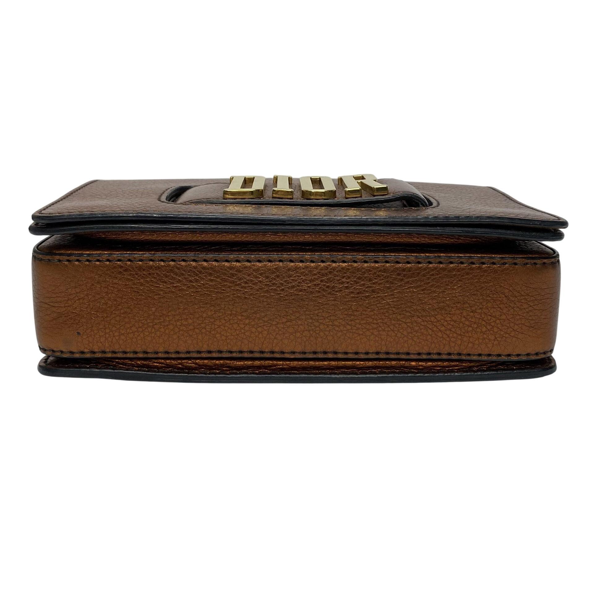 Bolsa Christian Dior (R)evolution Metalizada