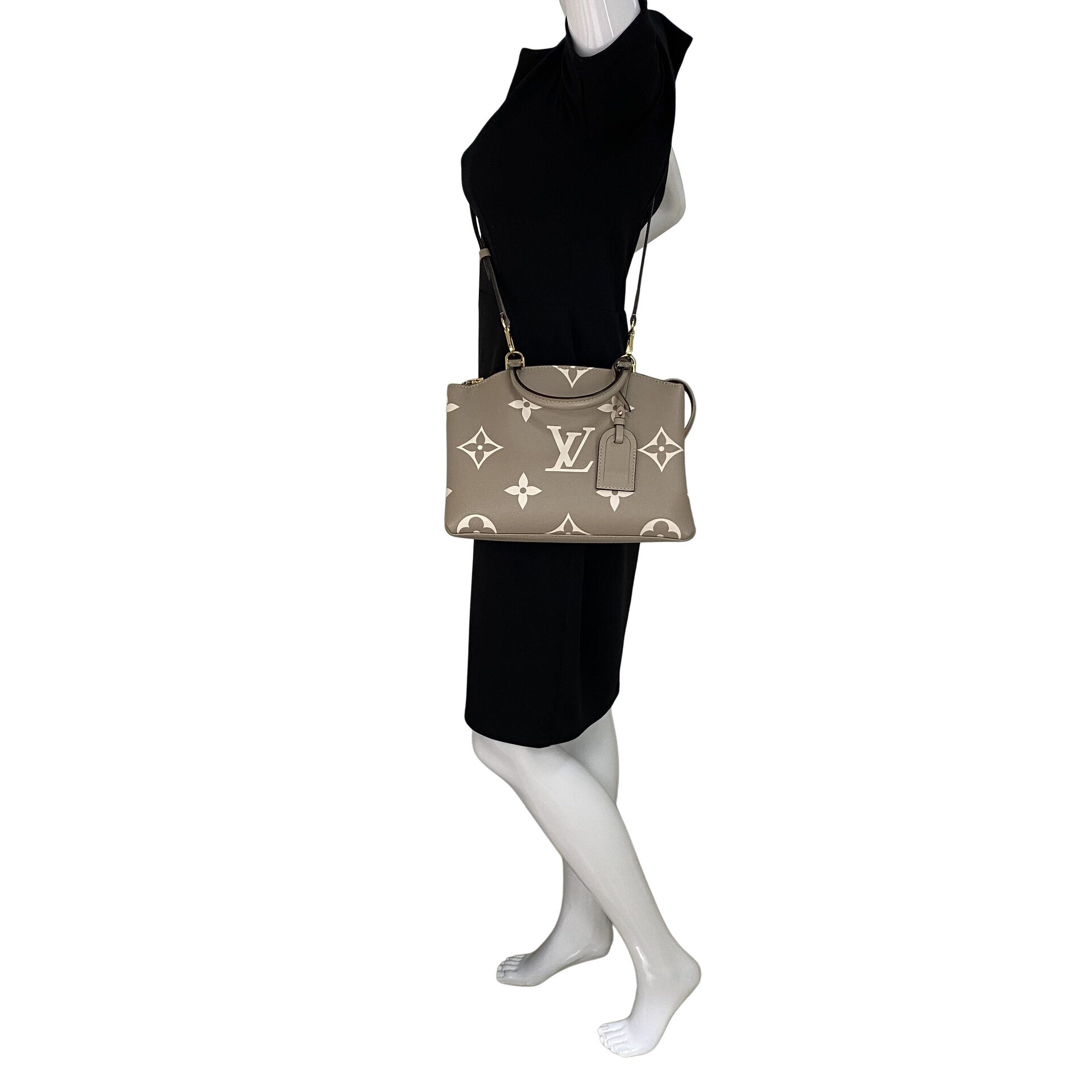 Bolsa Louis Vuitton Petit Palais PM