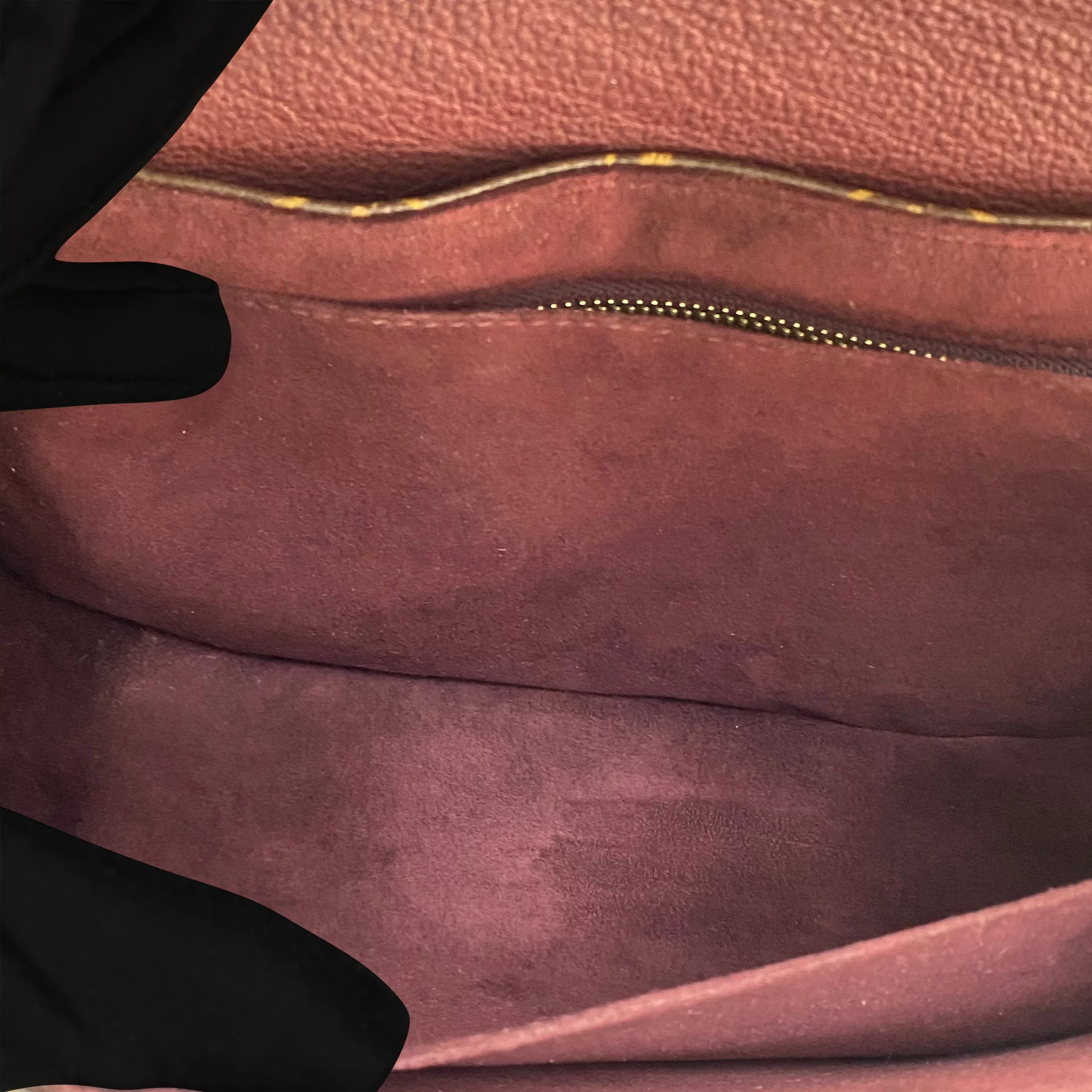 Bolsa Louis Vuitton Eden