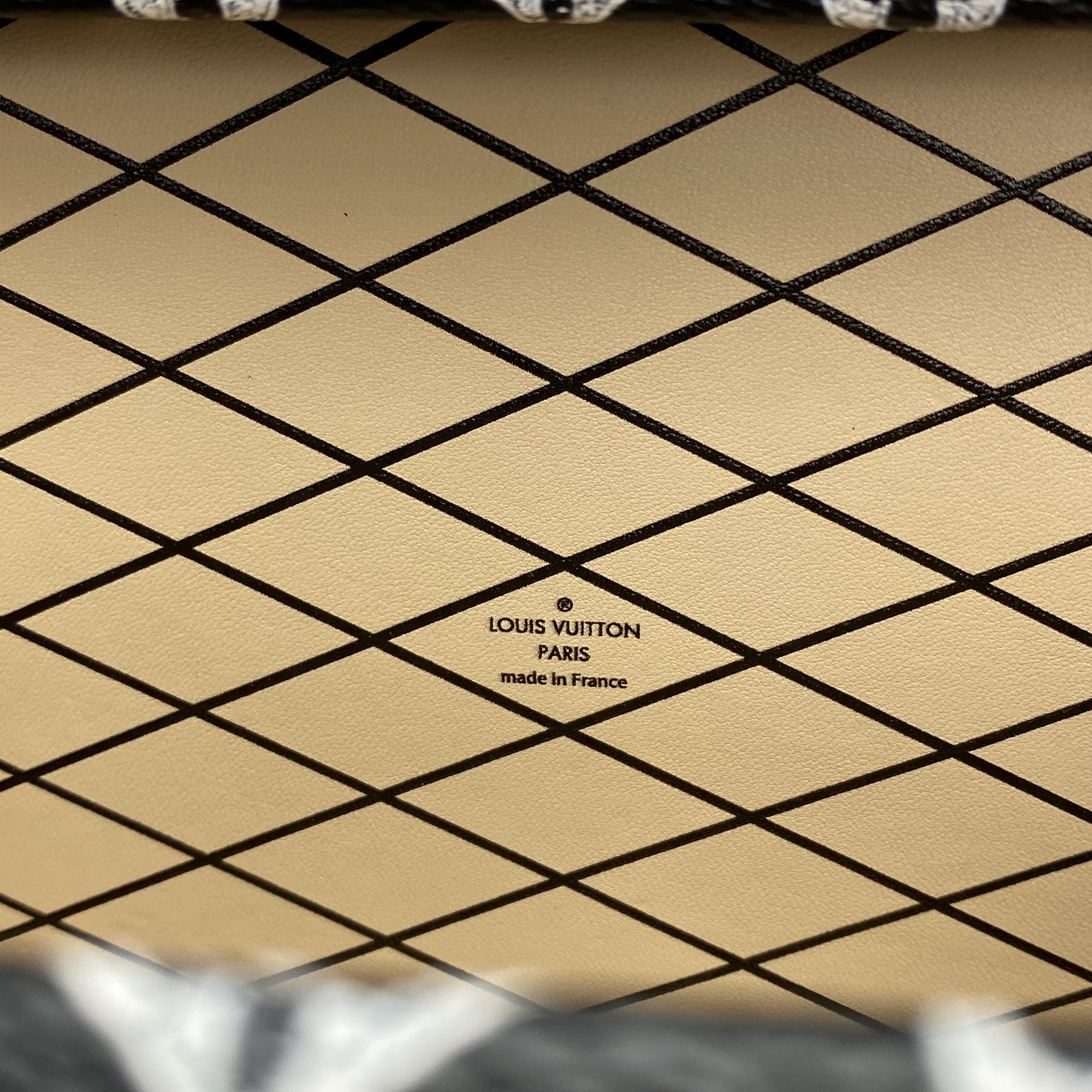 Bolsa Louis Vuitton Petite Malle Coddington Catogram