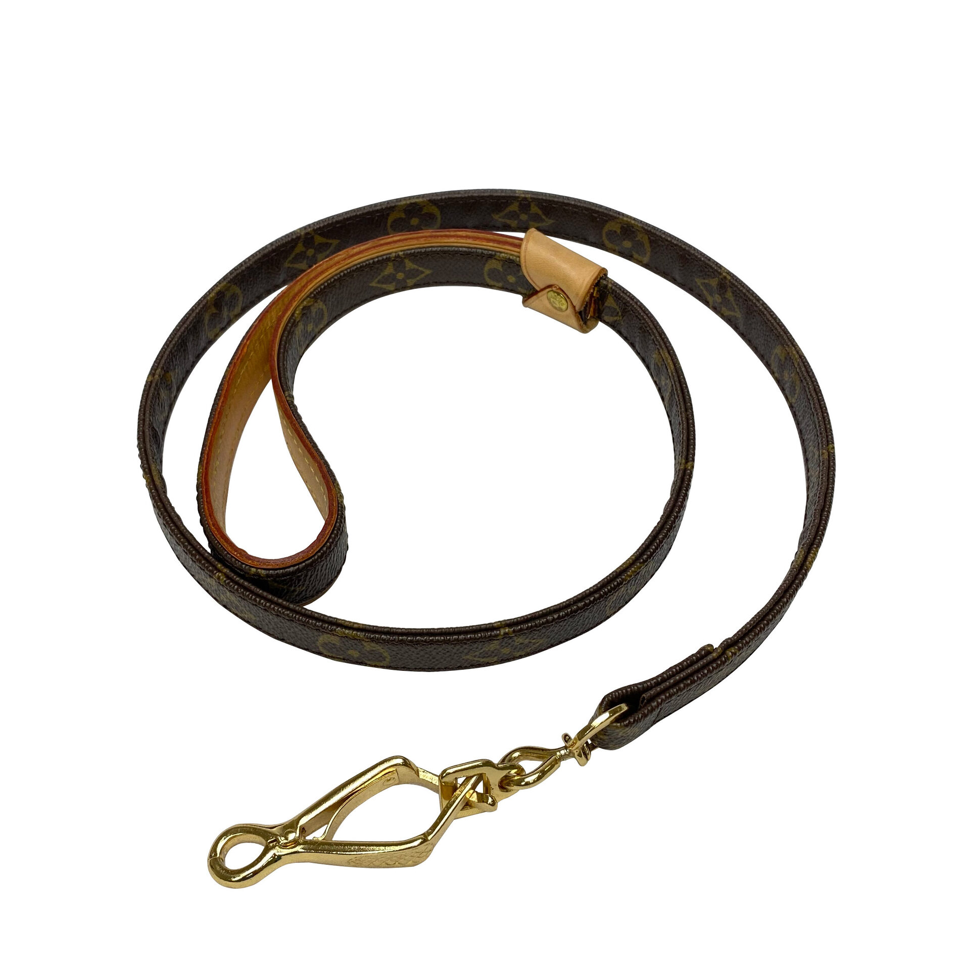 Conjunto Louis Vuitton - Guia + Coleira