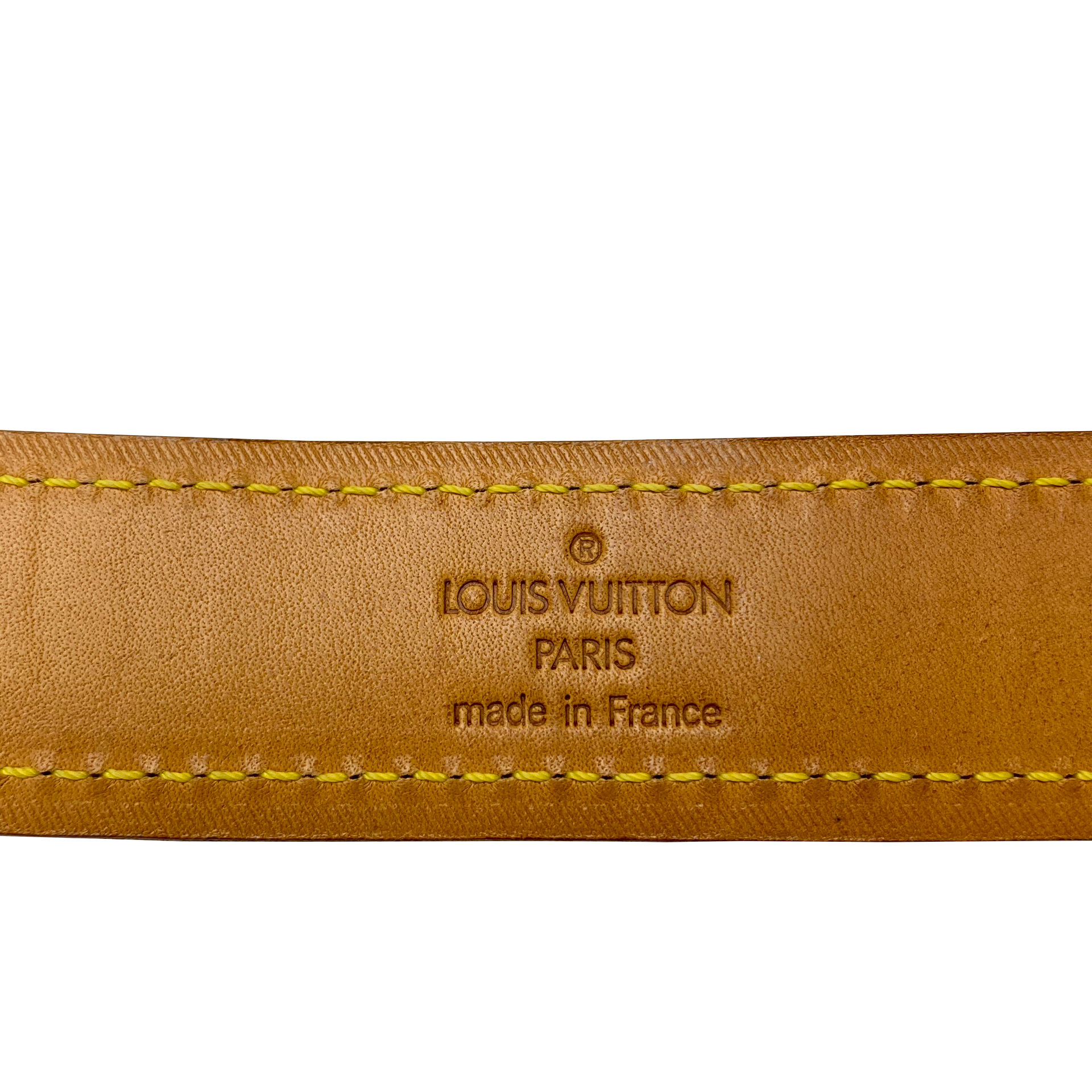 Conjunto Louis Vuitton - Guia + Coleira