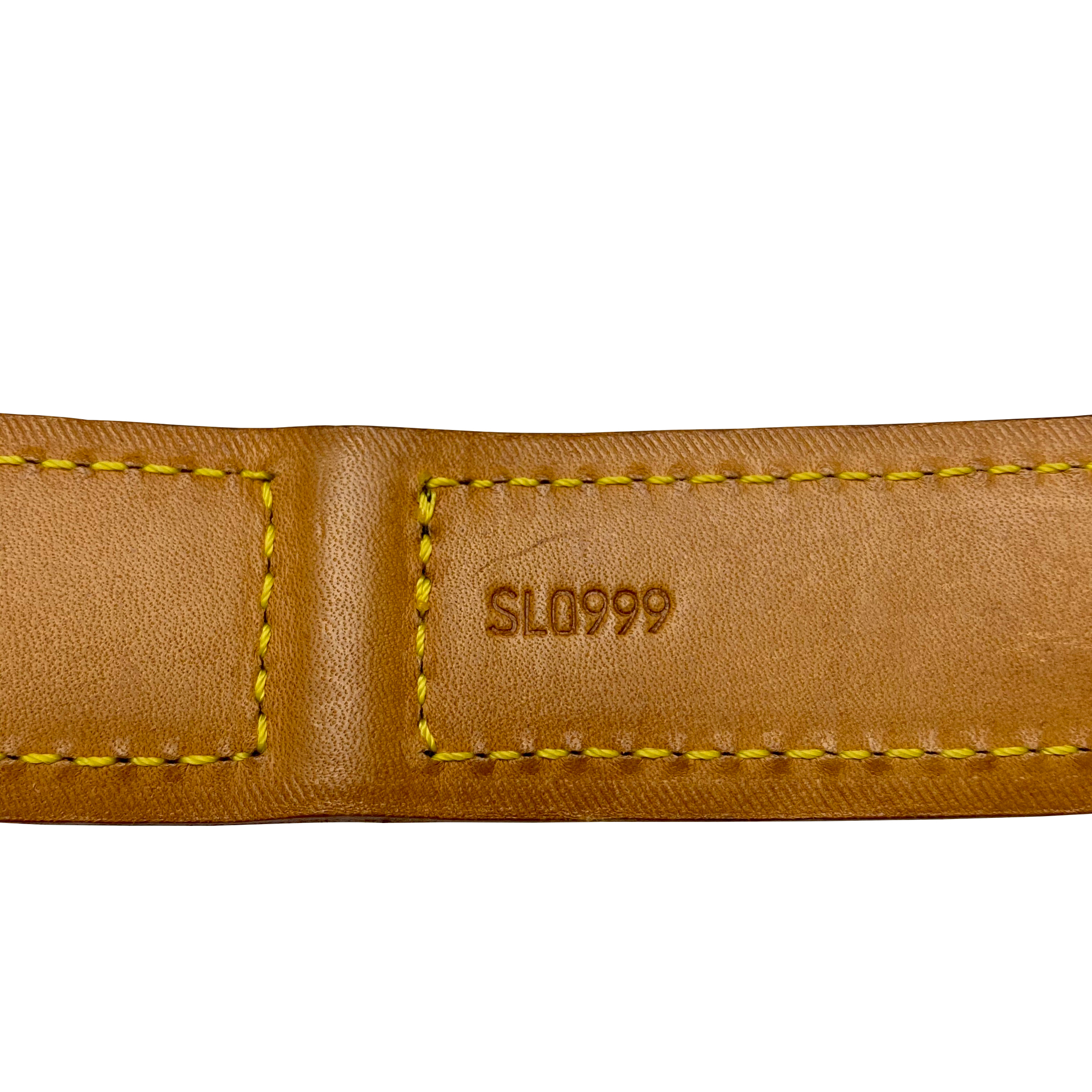 Conjunto Louis Vuitton - Guia + Coleira