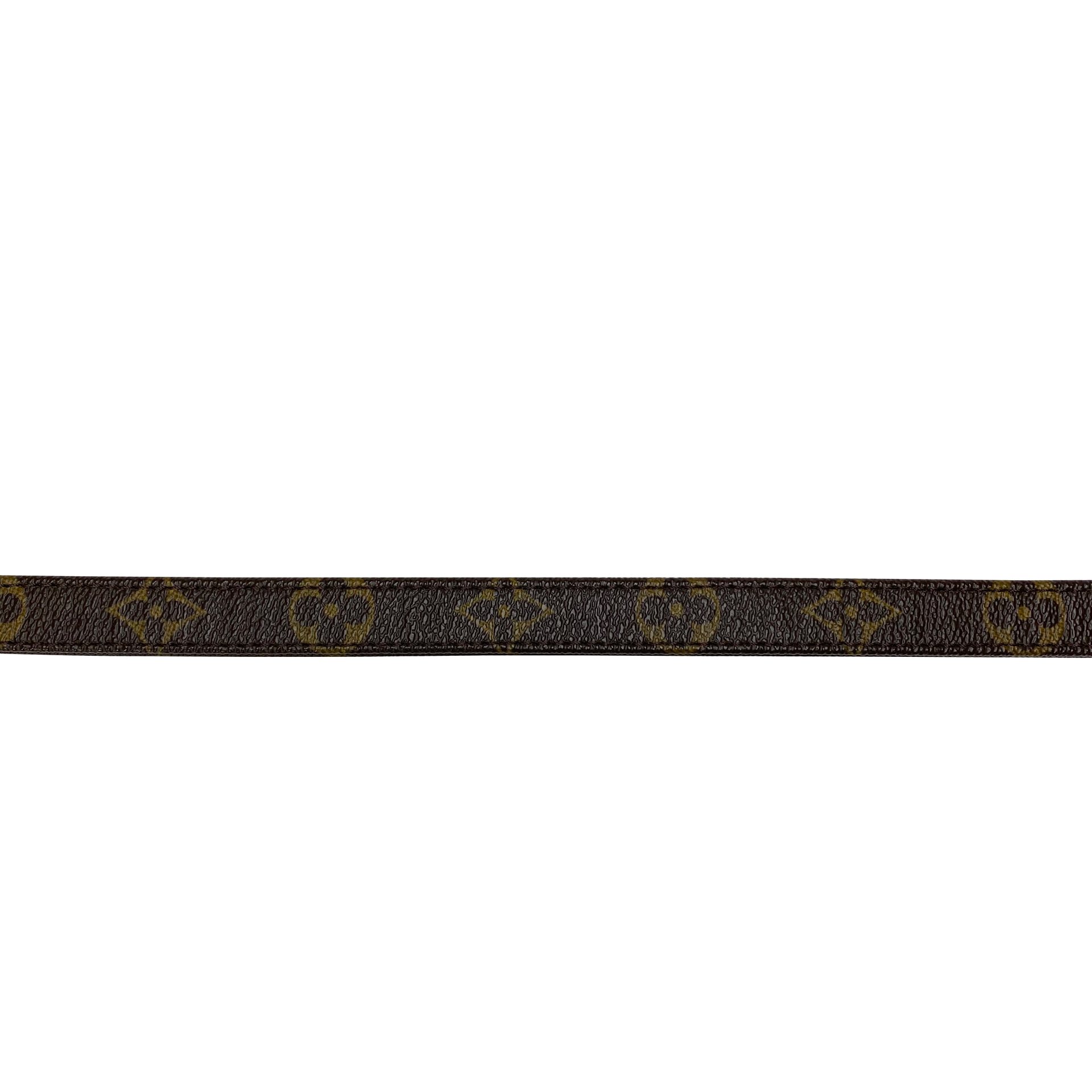 Conjunto Louis Vuitton - Guia + Coleira