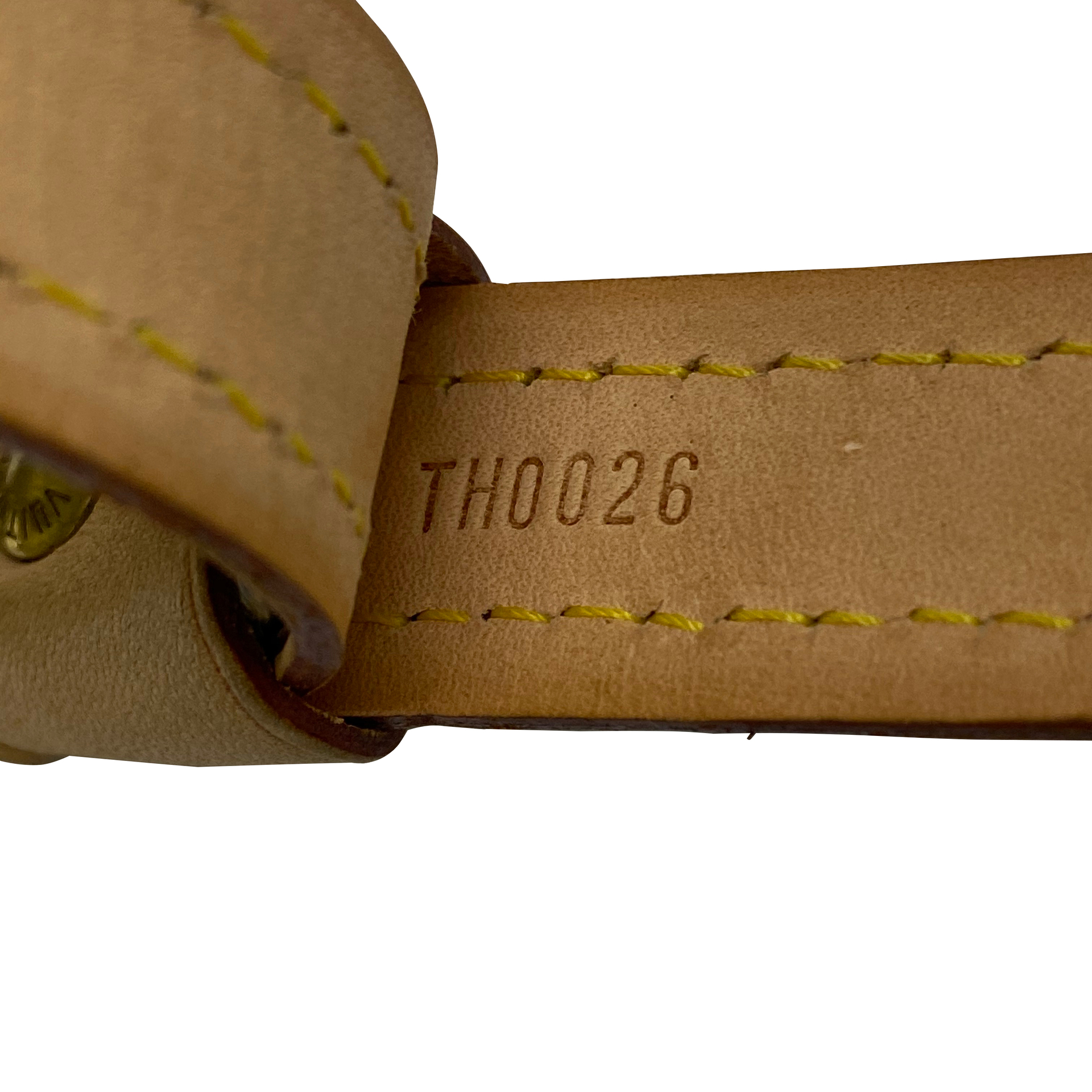 Conjunto Louis Vuitton - Guia + Coleira