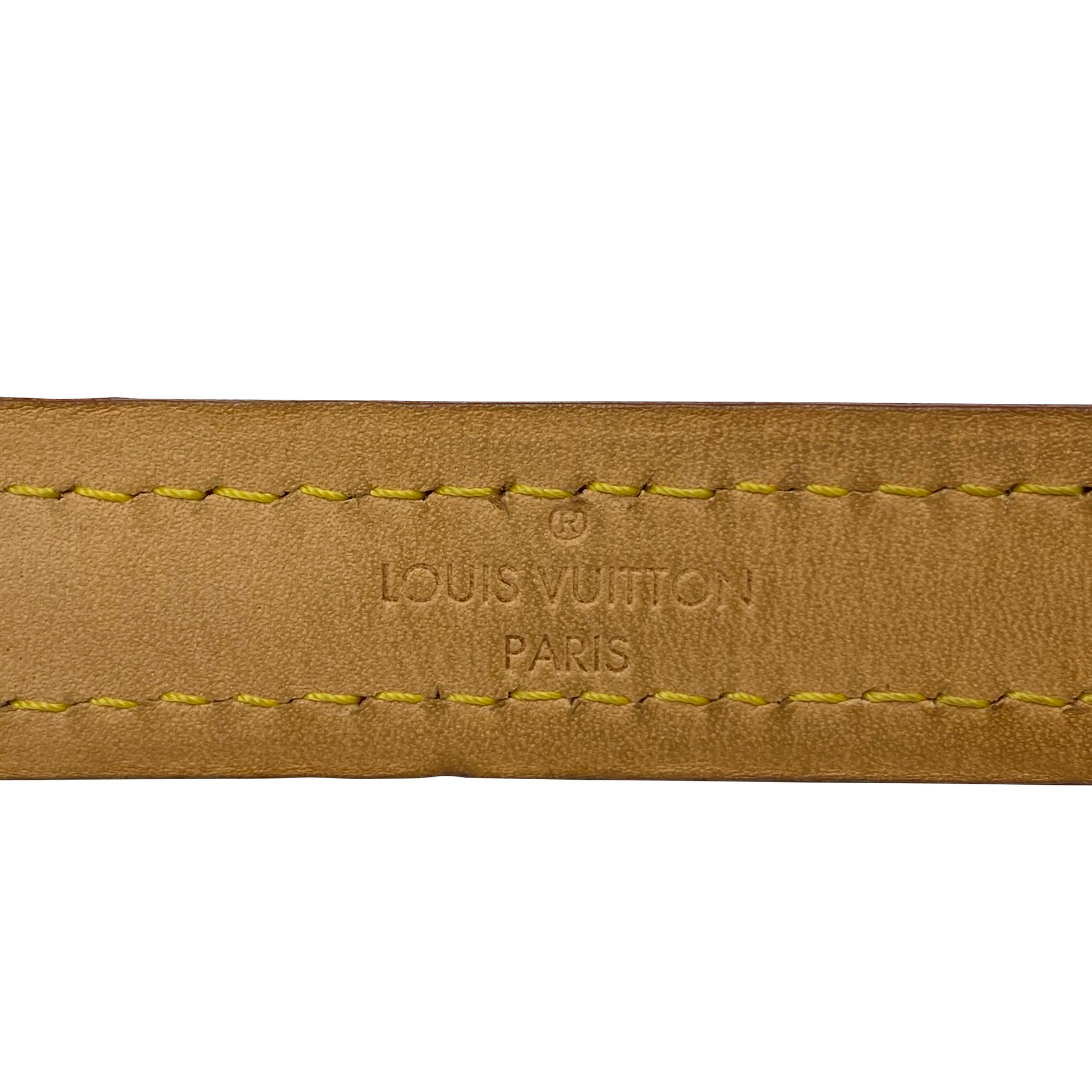 Conjunto Louis Vuitton - Guia + Coleira