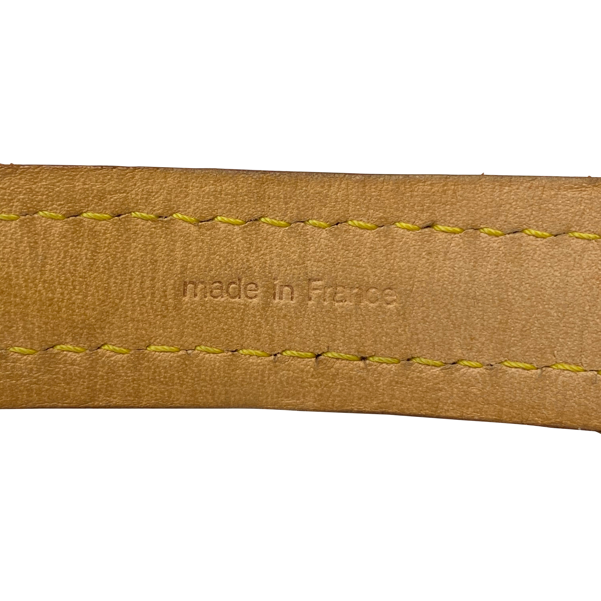 Conjunto Louis Vuitton - Guia + Coleira