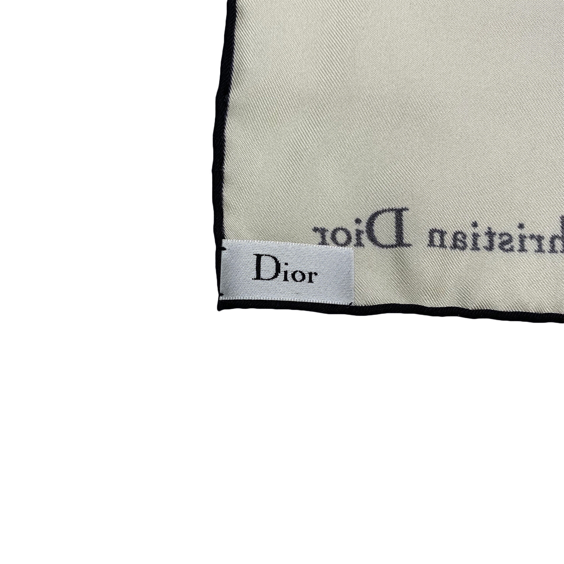 Lenço de Seda Christian Dior
